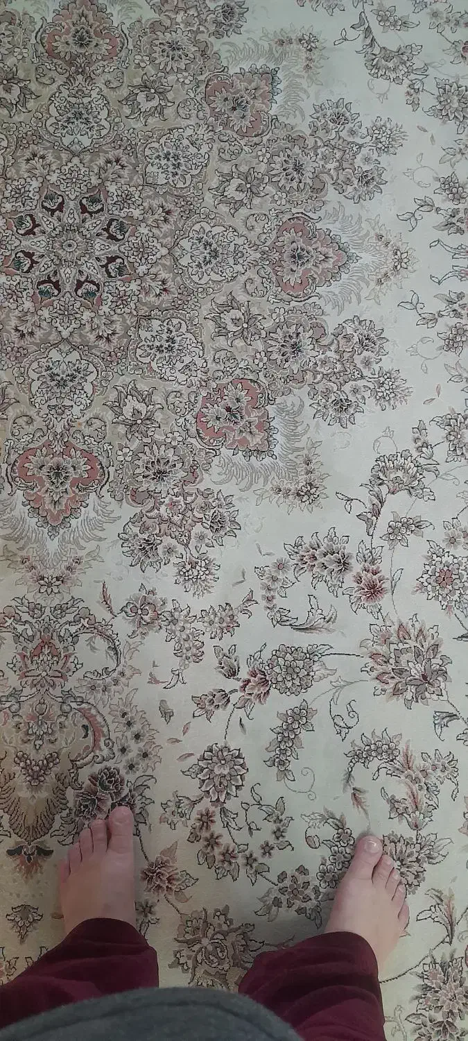 فرش۱۲ متری|فرش|مشهد, استاد یوسفی (شهرک غرب)|دیوار