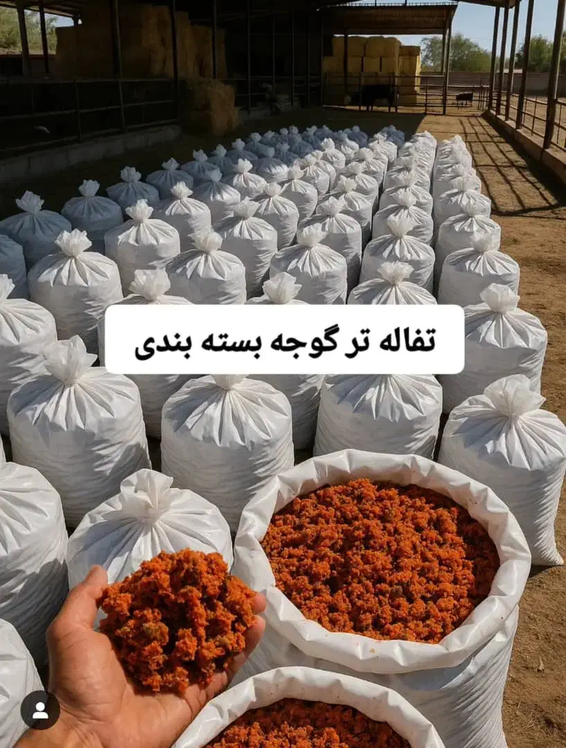 تفاله تر و خشک خوراک دام و طیور فله و بسته بندی|عمدهفروشی|رباطکریم, حصار مهتر|دیوار