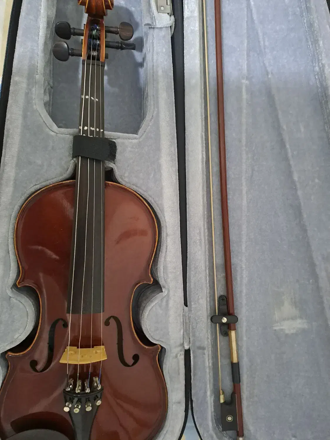 ویولن 4/4 TF|ویولن|کرج, شهرک رازی (بنیاد)|دیوار