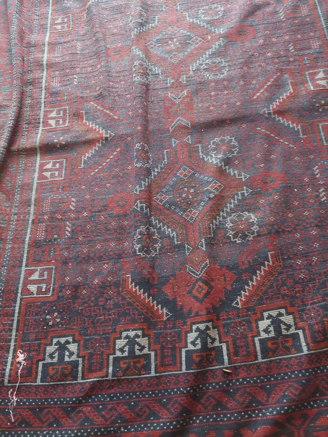 فرش دست باف|فرش|بجنورد, |دیوار