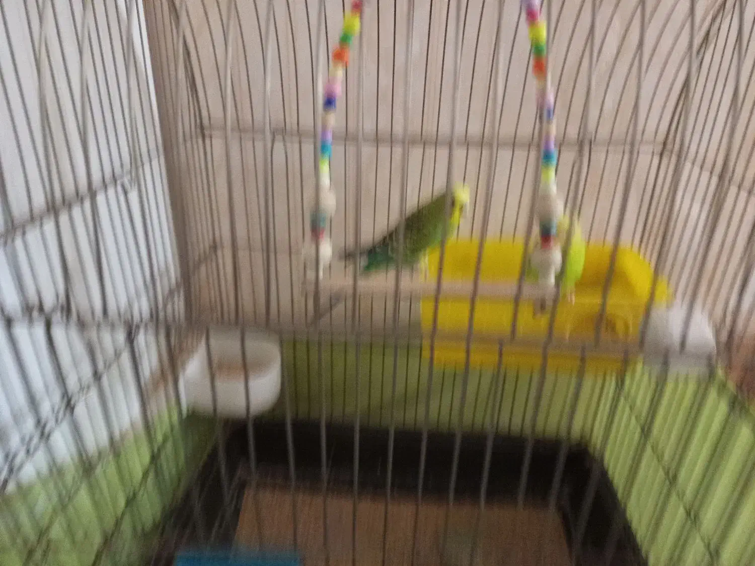 قفس|لوازم جانبی حیوانات|باقرشهر, |دیوار