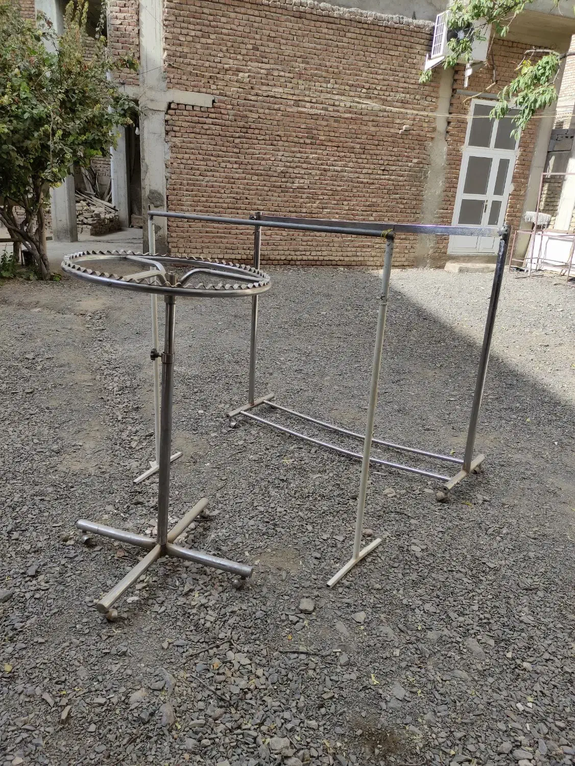 فروش رگال و شاخه تکی|فروشگاه و مغازه|چهاربرج, |دیوار