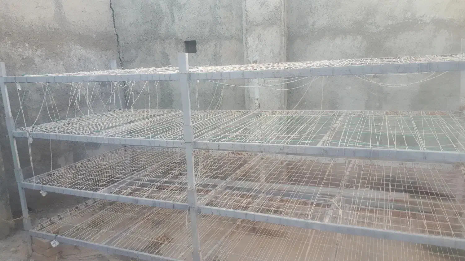 سه عدد قفسه پرورش قارچ قیمت ۱۸۸۰۰۰۰۰|ابزارآلات|سنقر, |دیوار