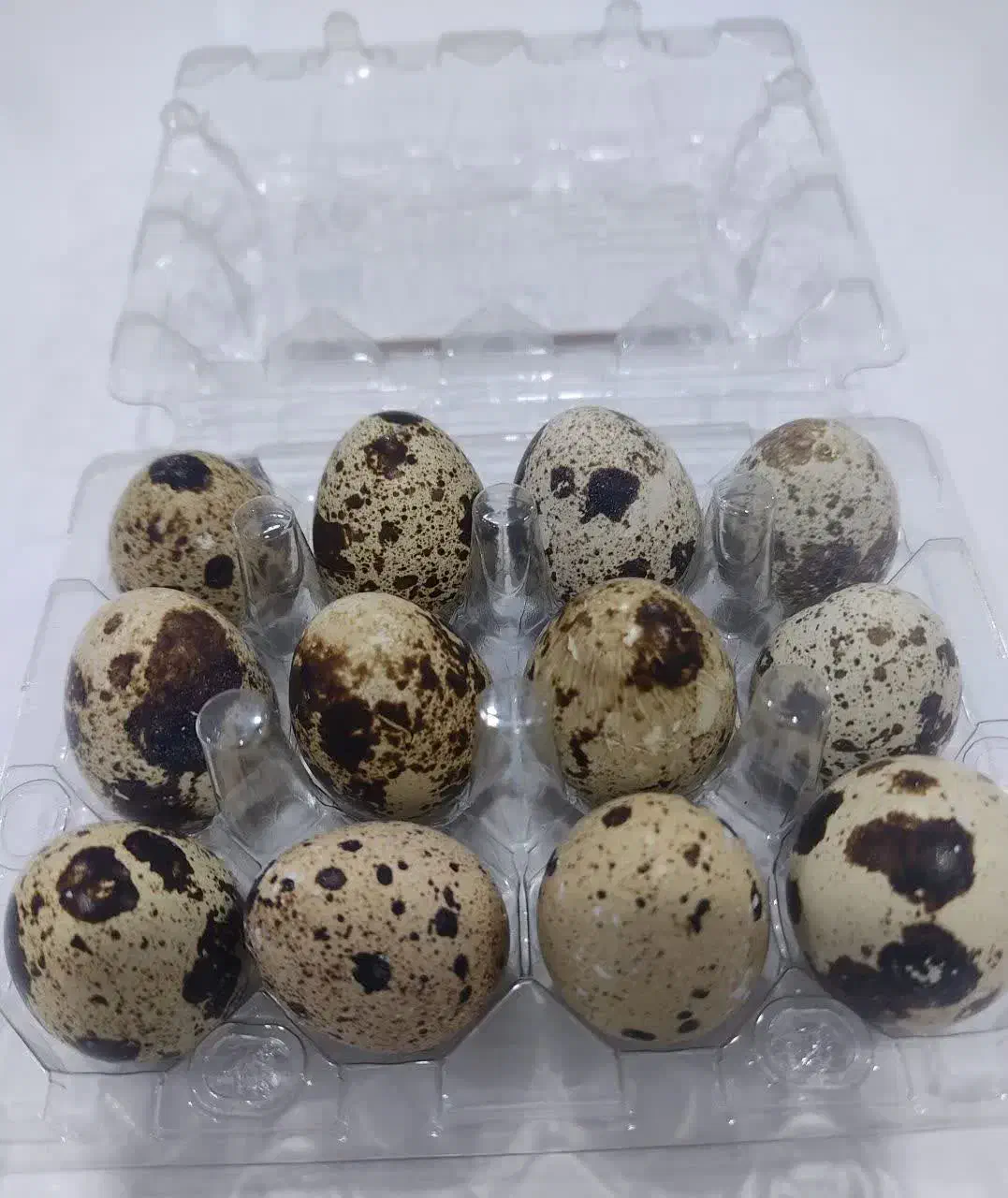 تولید وپخش تخم مرغ بومی.بلدرچین.|خوردنی و آشامیدنی|نجف‌آباد, شهدا|دیوار