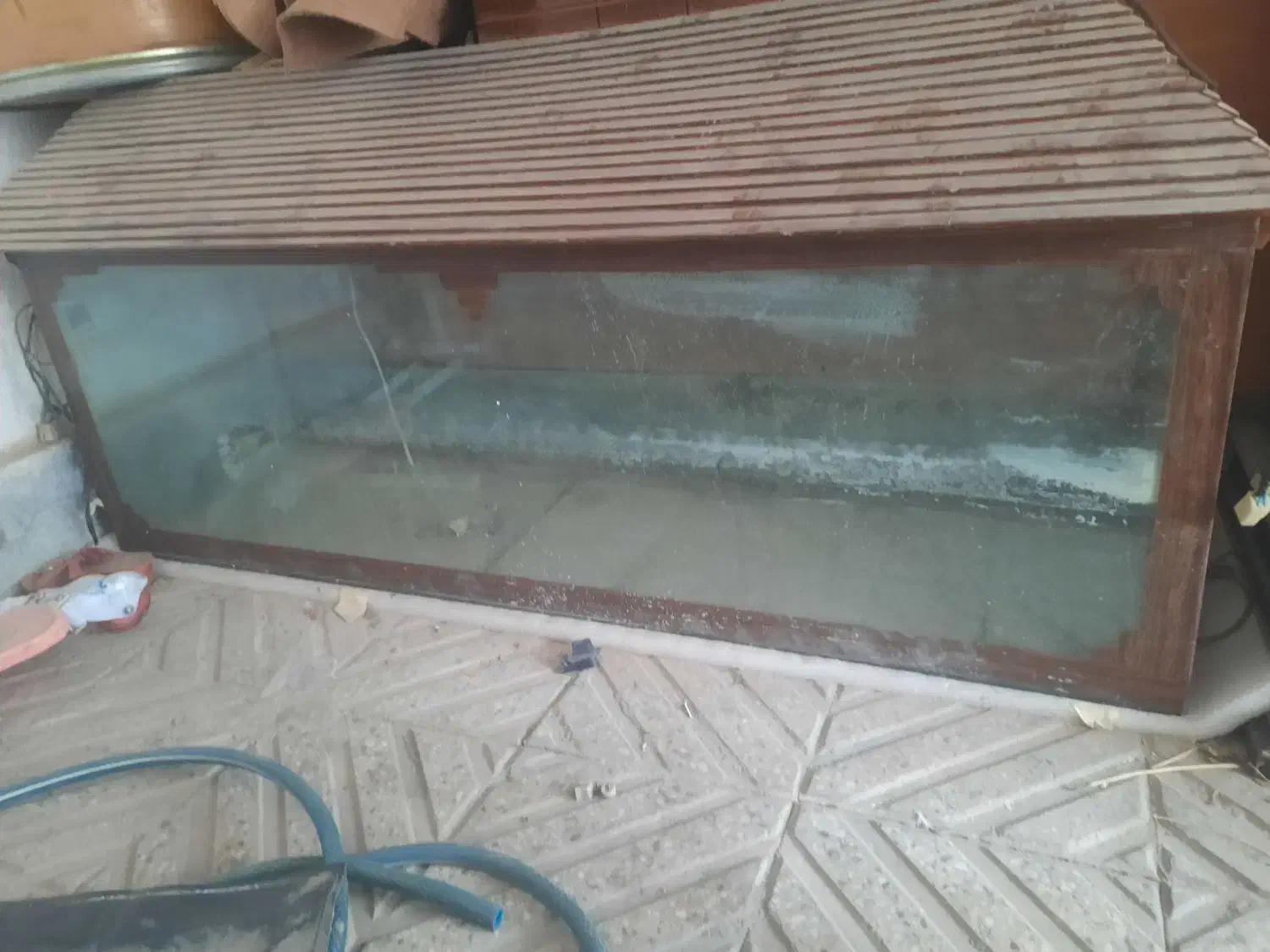 اکواریوم|ماهی|مبارکه, |دیوار