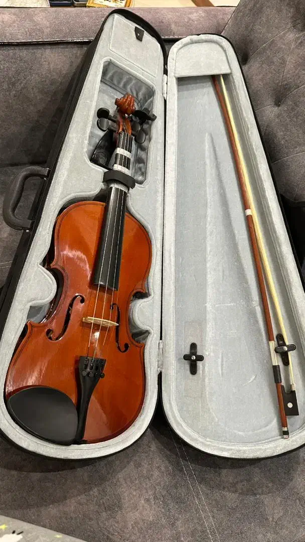 ویولون|ویولن|کرج, شهرک یاس جنوبی|دیوار