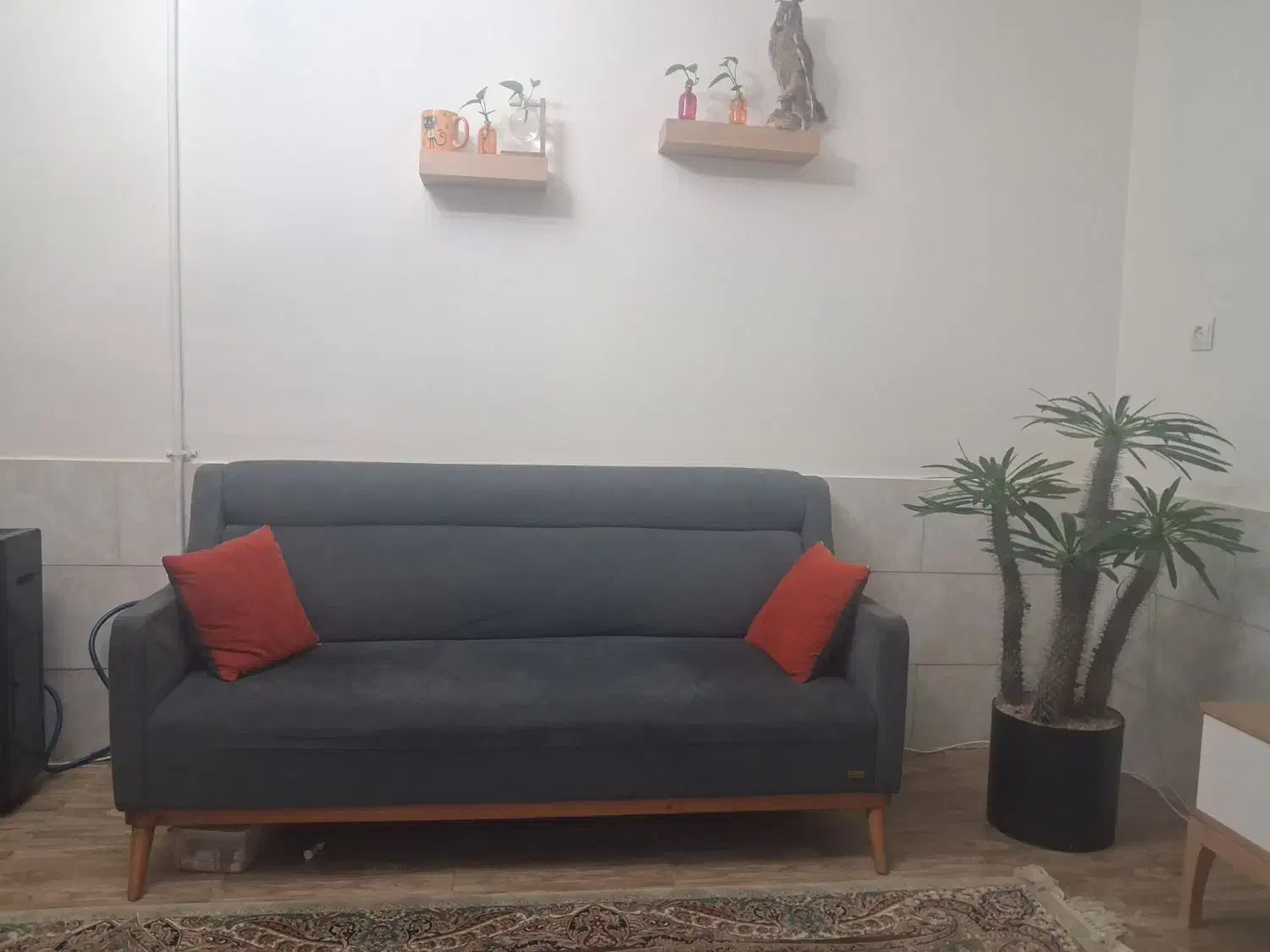 مبل ۸ نفره چوب راش|مبلمان خانگی و میز عسلی|شیراز, سینما سعدی|دیوار