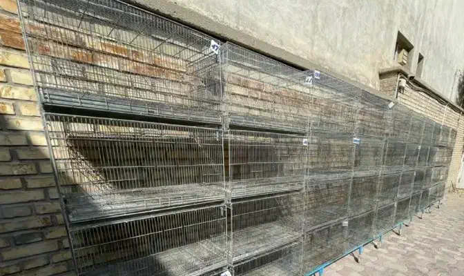 قفس غلامی بافت قدیم هستن سایز بزرگ ۶۴×۴۰|لوازم جانبی حیوانات|اهواز, منبع اب|دیوار