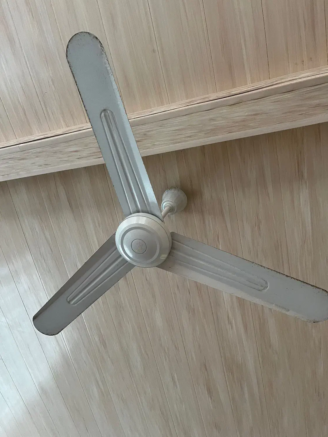 پنکه سقفی|پنکه و تصفیهکنندهٔ هوا|لنگرود, |دیوار