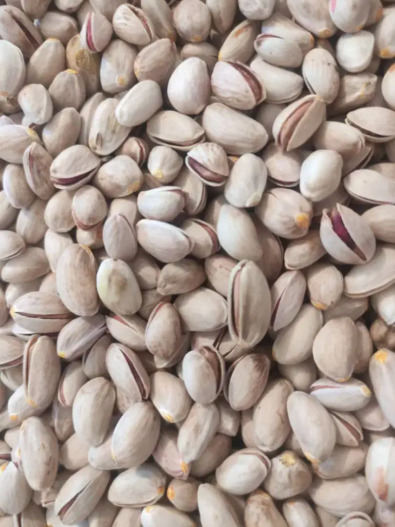 فروش پسته درجه یک|خوردنی و آشامیدنی|شیراز, دست خضر|دیوار