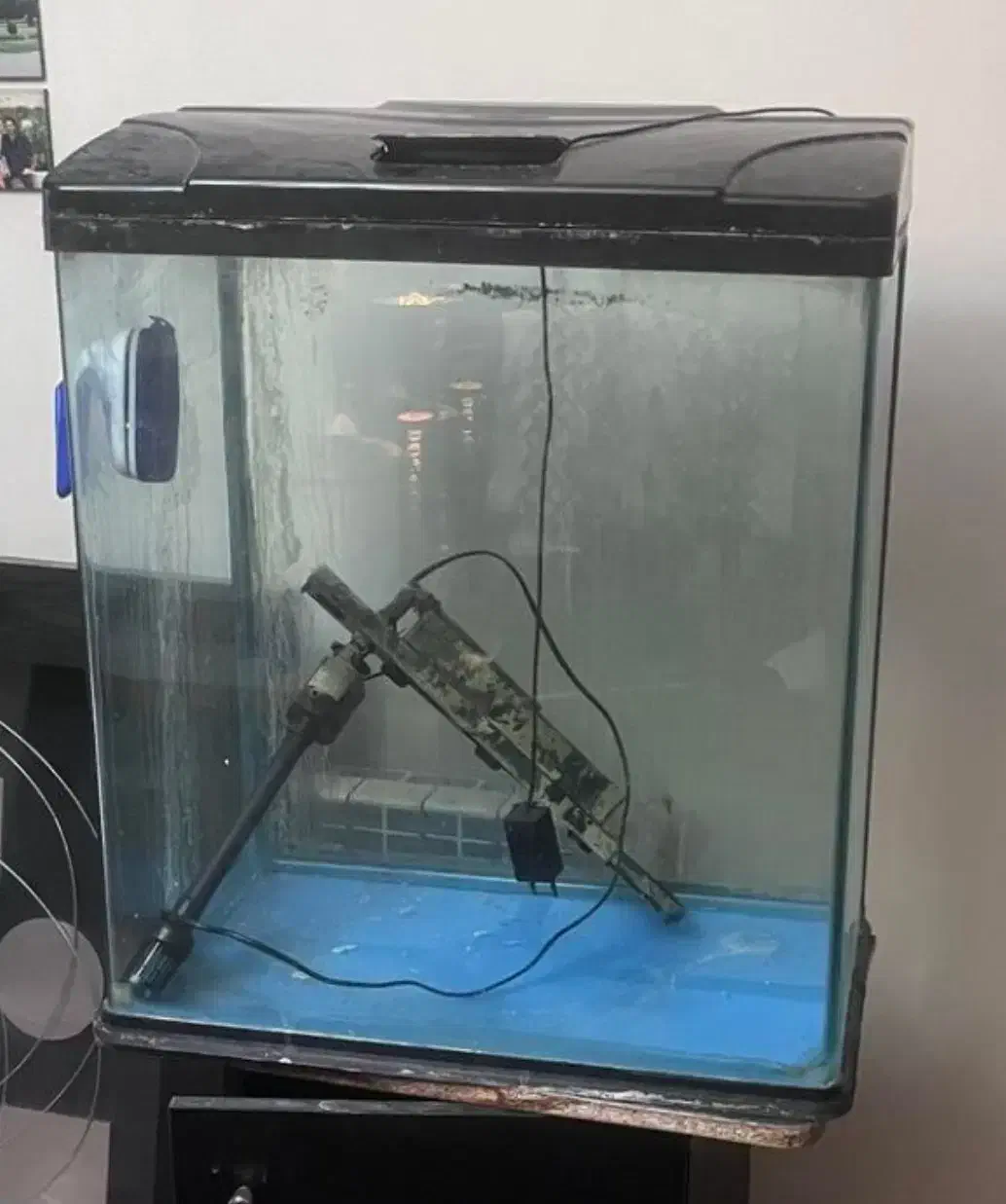 آکواریوم ماهیران. آکوا. دلسا و فلاور|ماهی|ری, شهرری|دیوار