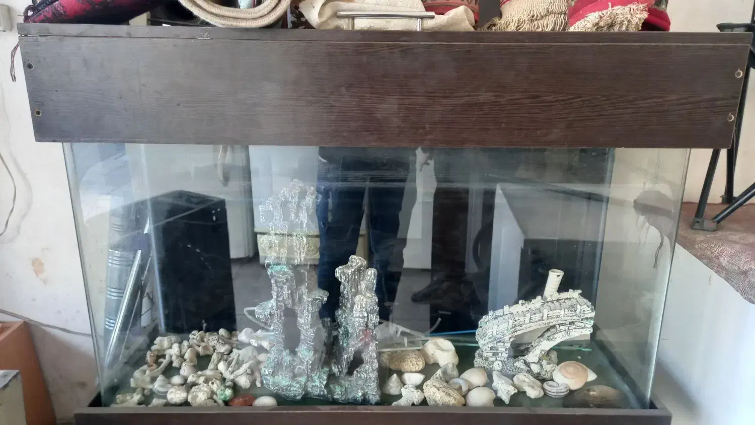 آکواریوم ماهی شیشه خم|ماهی|تهران, بیسیم|دیوار