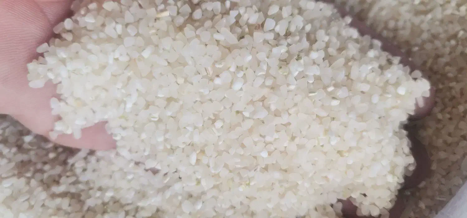 برنج کامفیروزی لوکس|خوردنی و آشامیدنی|شیراز, شهرک گلها|دیوار