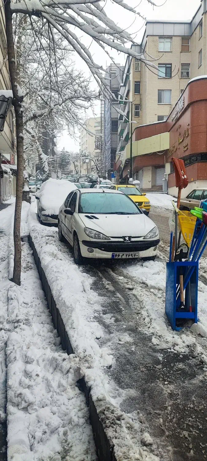 ۲۰۶ مدل ۸۹ سفارش مدیران بی رنگ|خودرو سواری و وانت|تهران, مروارید شهر|دیوار