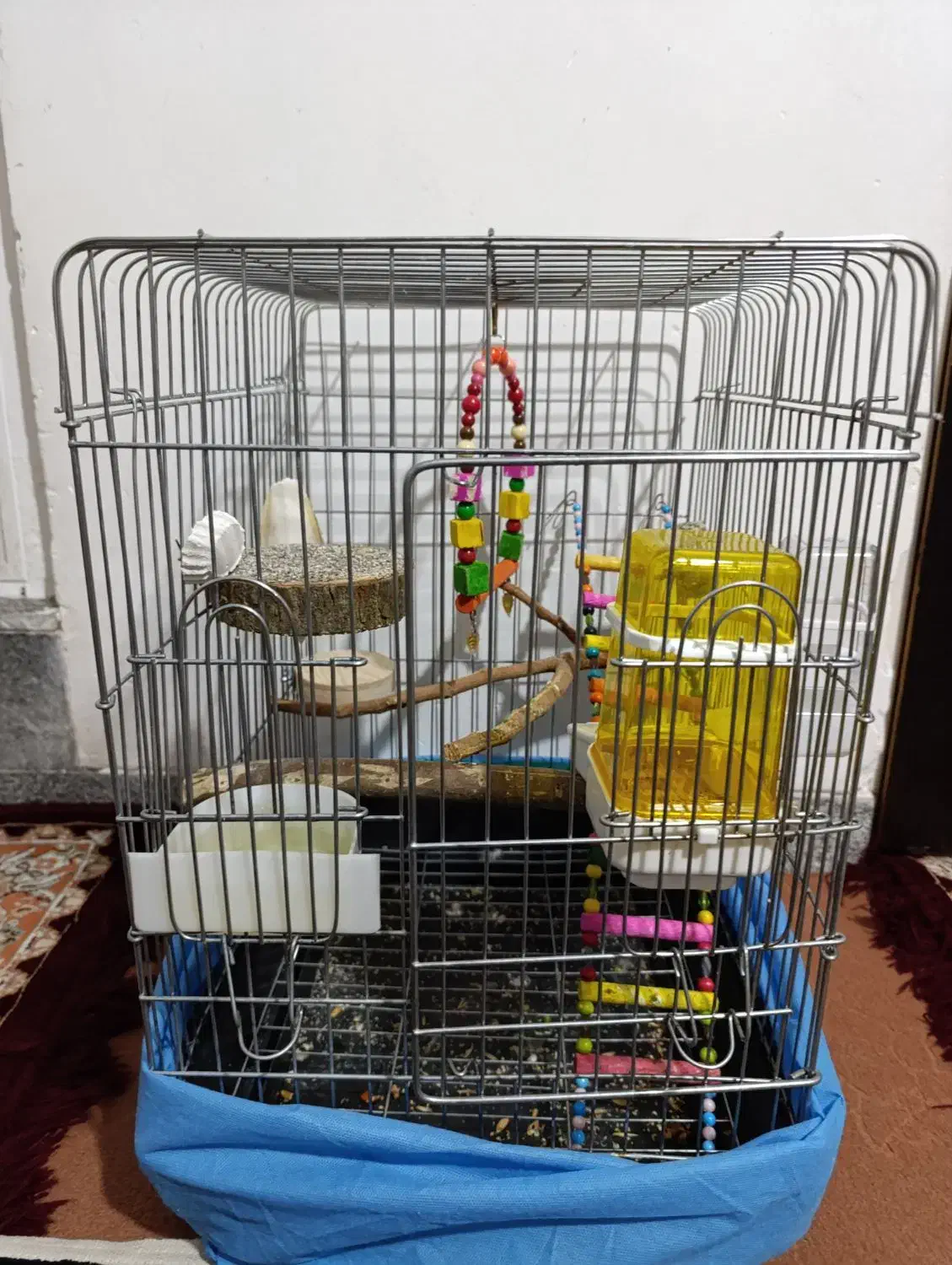 قفس سالم|لوازم جانبی حیوانات|همدان, |دیوار