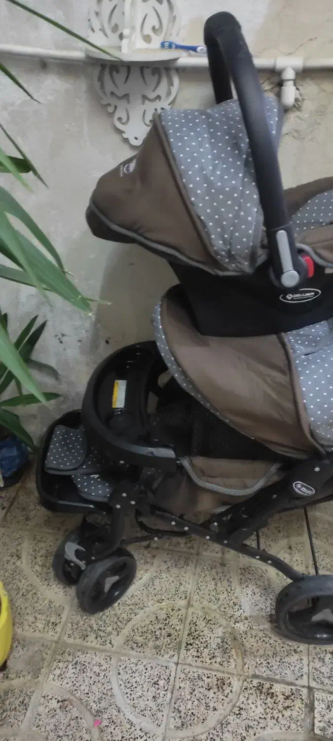 کالسکه و کریر دلیجان|کالسکه و لوازم جانبی|تهران, تختی|دیوار