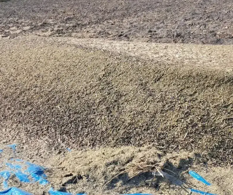 کاه ماش|حیوانات مزرعه|چرام, |دیوار