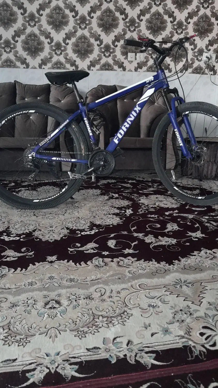 دوچرخه ۲۹|دوچرخه، اسکیت، اسکوتر|مه ولات, |دیوار