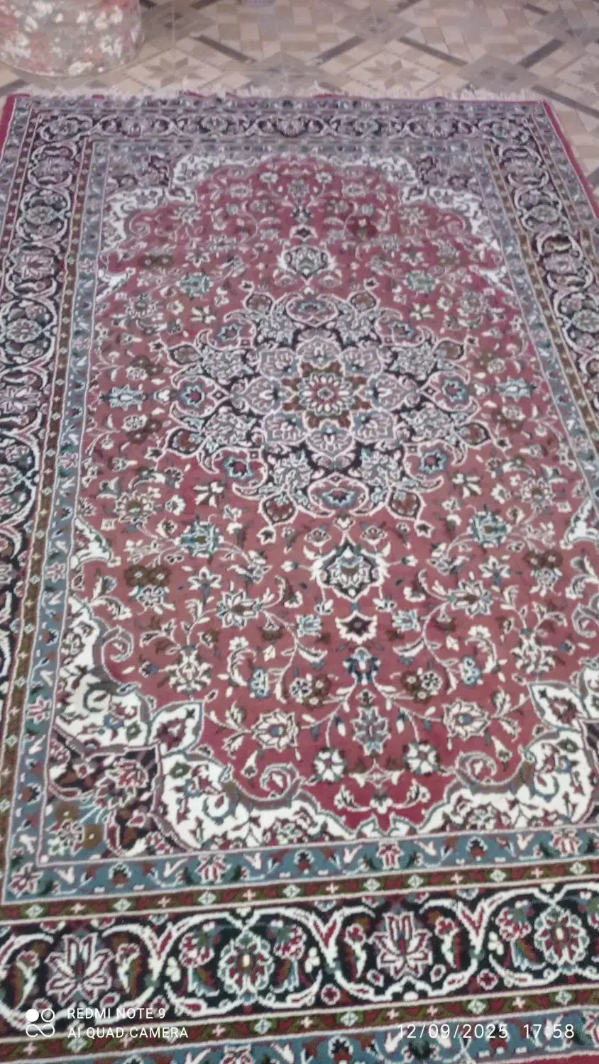 فرش ۶ متری|فرش|بیرجند, |دیوار