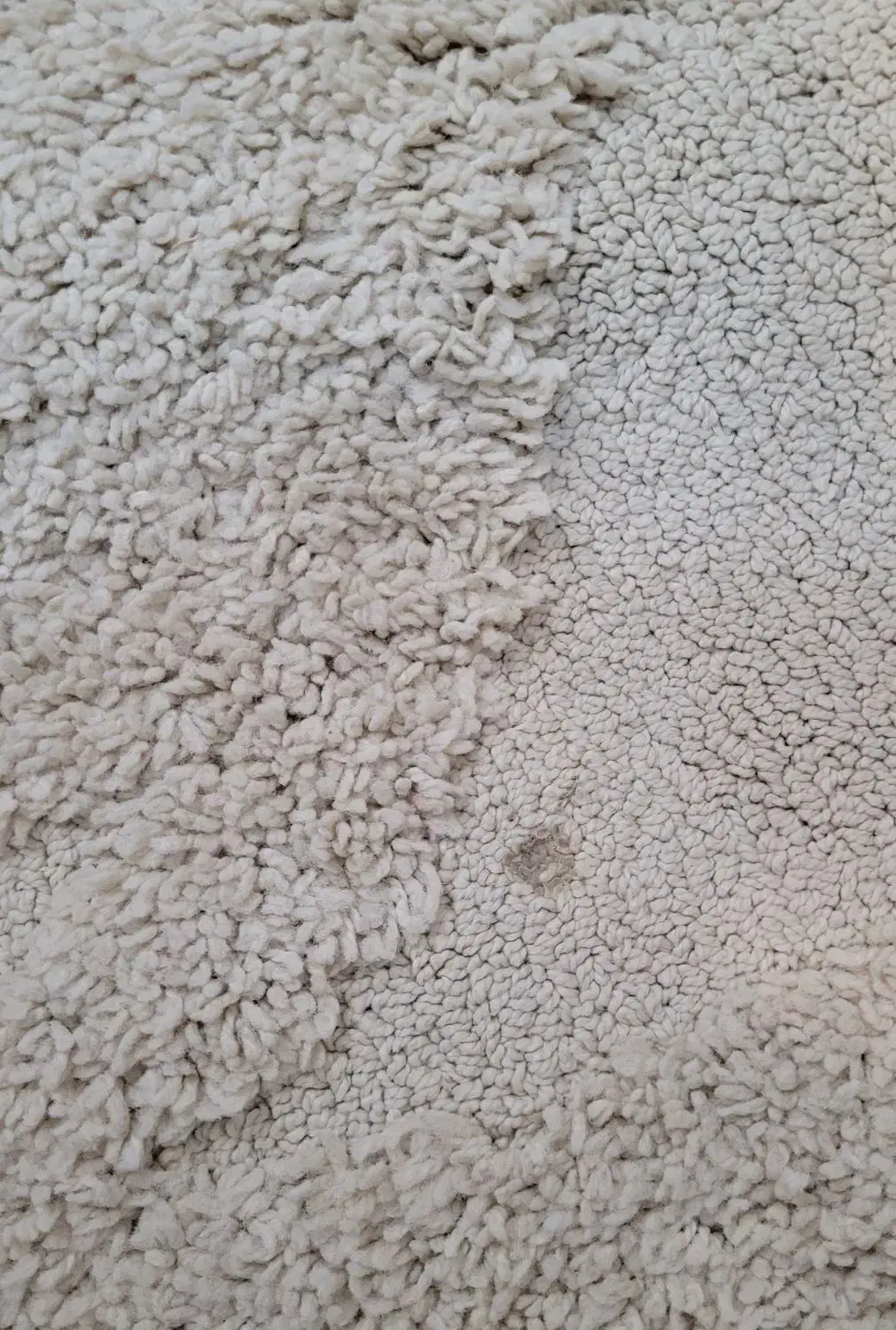 فرش تدی|فرش|هشتگرد, فاز ۷ مهستان|دیوار