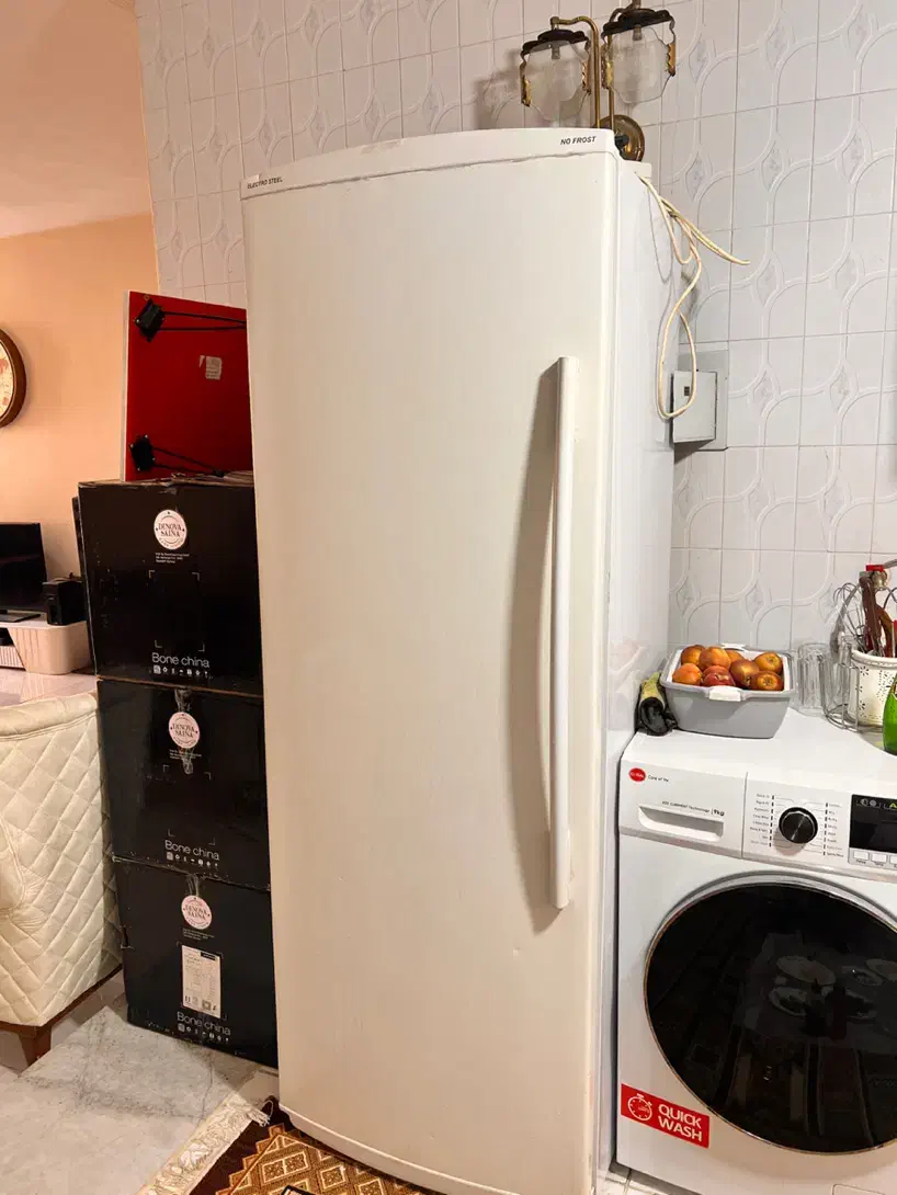 یخچال فریزر دوقلو الکترو استیل|یخچال و فریزر|شیراز, غدیر جنوبی|دیوار