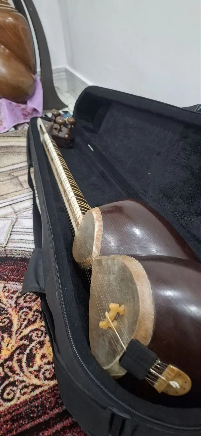 تار|سازهای سنتی|سنندج, |دیوار
