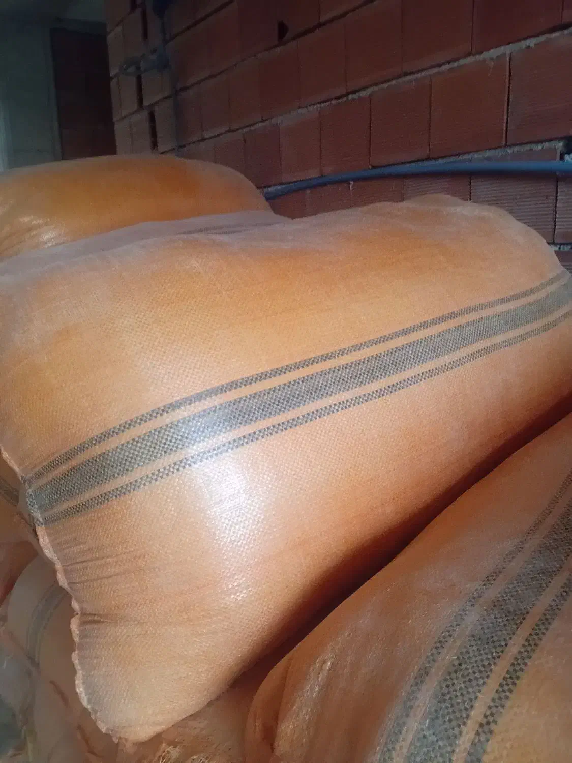 کپک|لوازم جانبی حیوانات|تالش, طولارود|دیوار