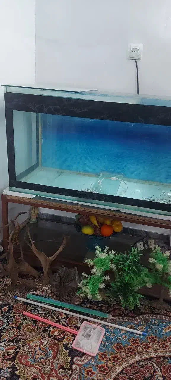 آکواریوم باپایه وهمه وسایلش|ماهی|بروجرد, |دیوار