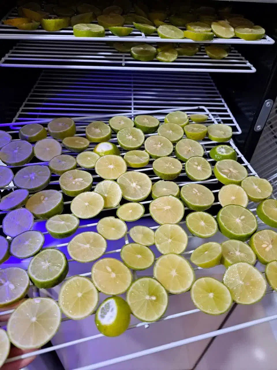 دستگاه میوه و سبزی خشک کن خانگی هوشمند تراشه پرداز|سایر لوازم برقی|مشهد, عیدگاه|دیوار