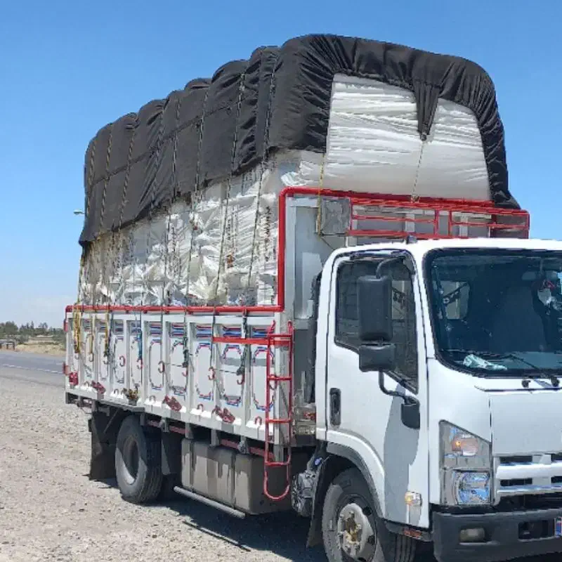 فروش یک دستگاه  ایسوزو  ۶ تن مدل ۹۵|خودرو سنگین|گنبد کاووس, |دیوار