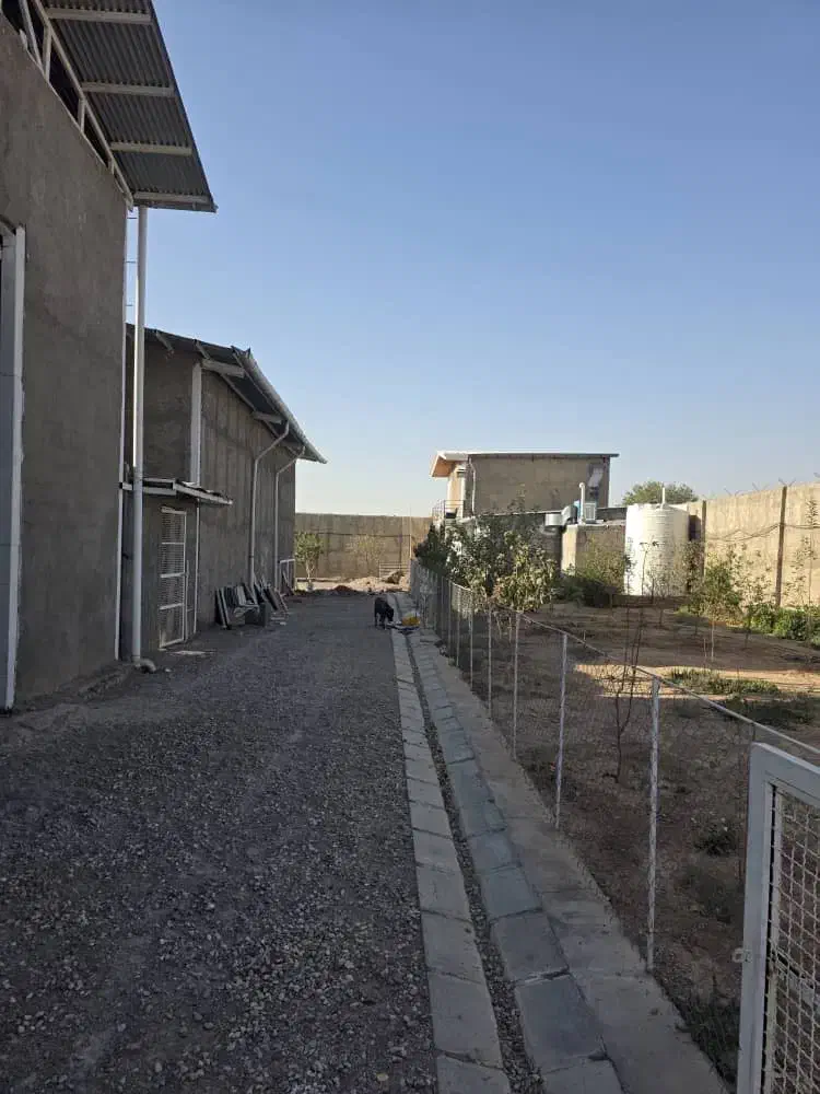 دامداری و زمین زراعی|فروش دفتر صنعتی، کشاورزی، تجاری|زاویه, |دیوار