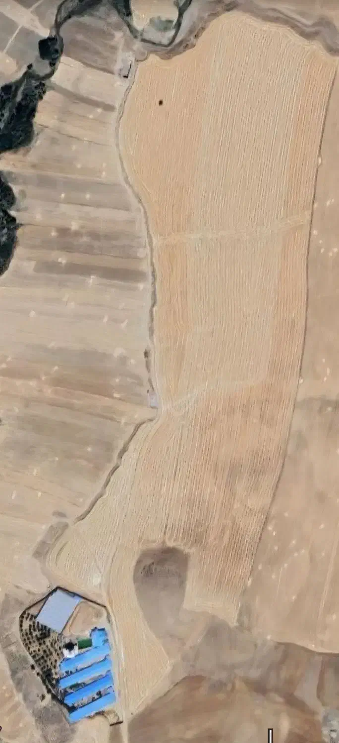 زمین جهت کشت نخود بهاره|اجارهٔ دفتر صنعتی، کشاورزی، تجاری|سنقر, |دیوار