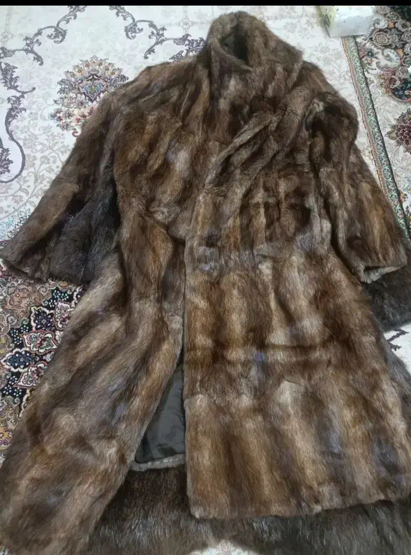 پالتو پوست طبیعی|لباس|سراب, |دیوار