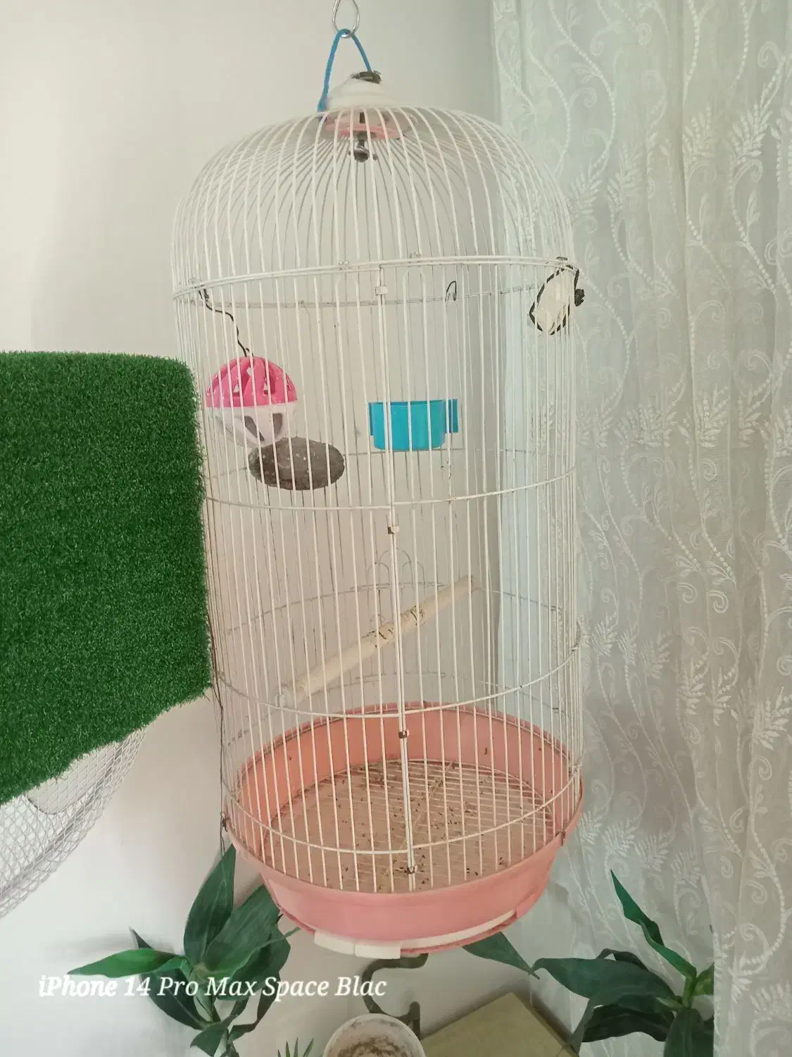 قفس سالم مناسب هر نوع پرنده بزرگ جا دار با جا ابو.|لوازم جانبی حیوانات|کرج, حصارک بالا|دیوار