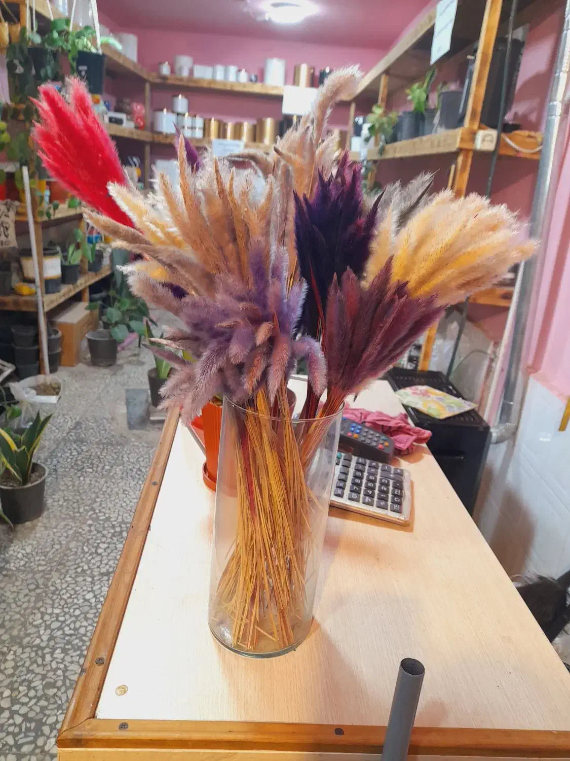 گل خشک دم رباهی بسته ۱۰تایی ۳۵تومن|گل مصنوعی|رشت, فلسطین|دیوار