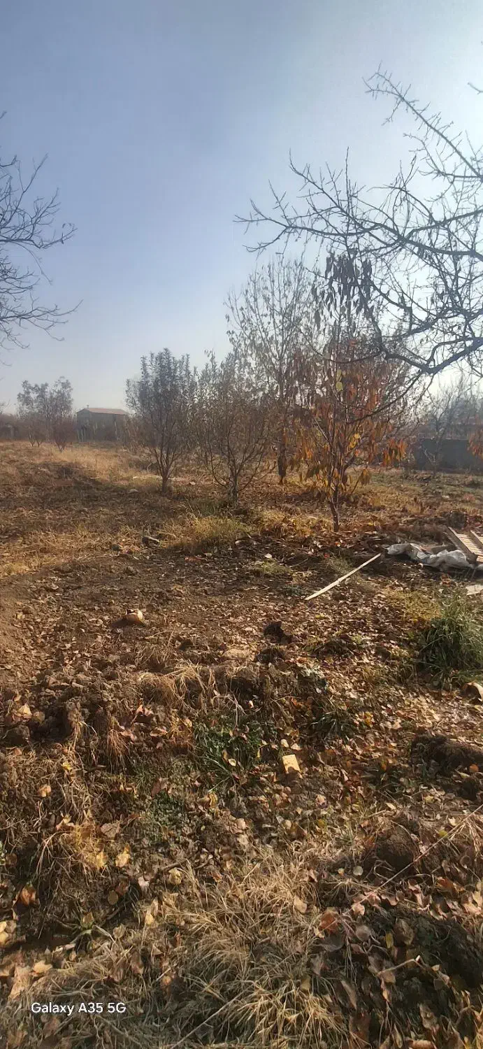 زمین باغچه|فروش زمین و ملک کلنگی|نوشین شهر, |دیوار