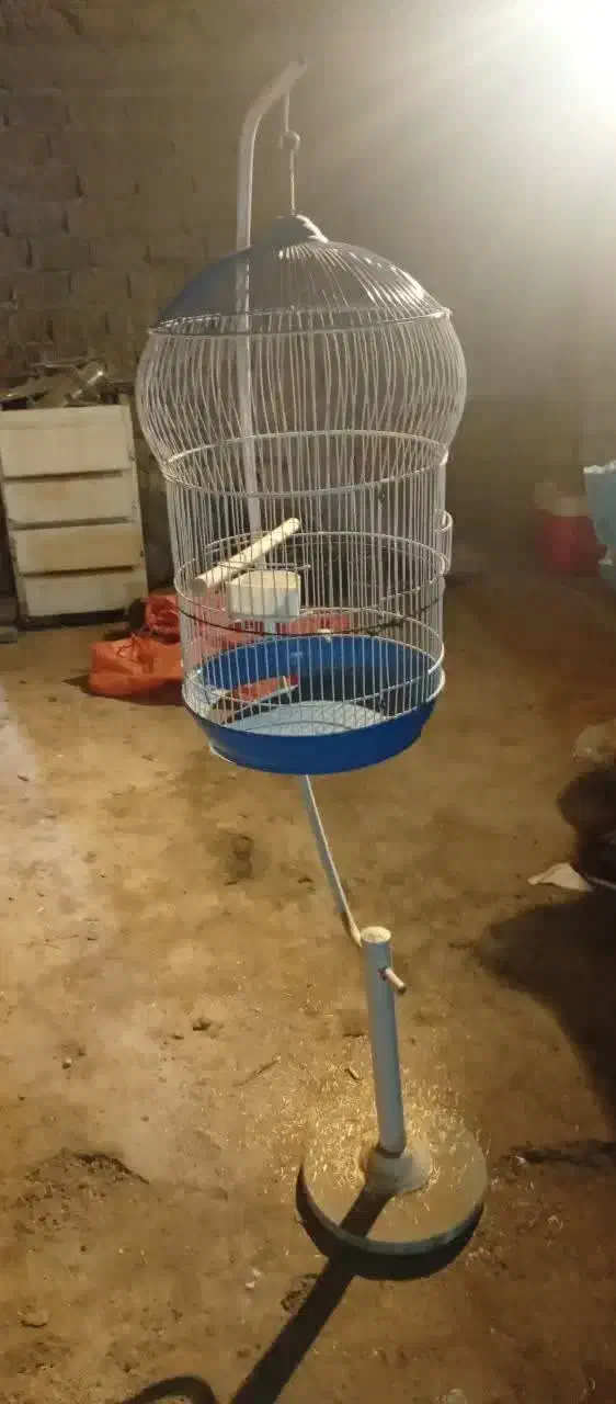 قفس پرنده|لوازم جانبی حیوانات|قم, ولیعصر|دیوار
