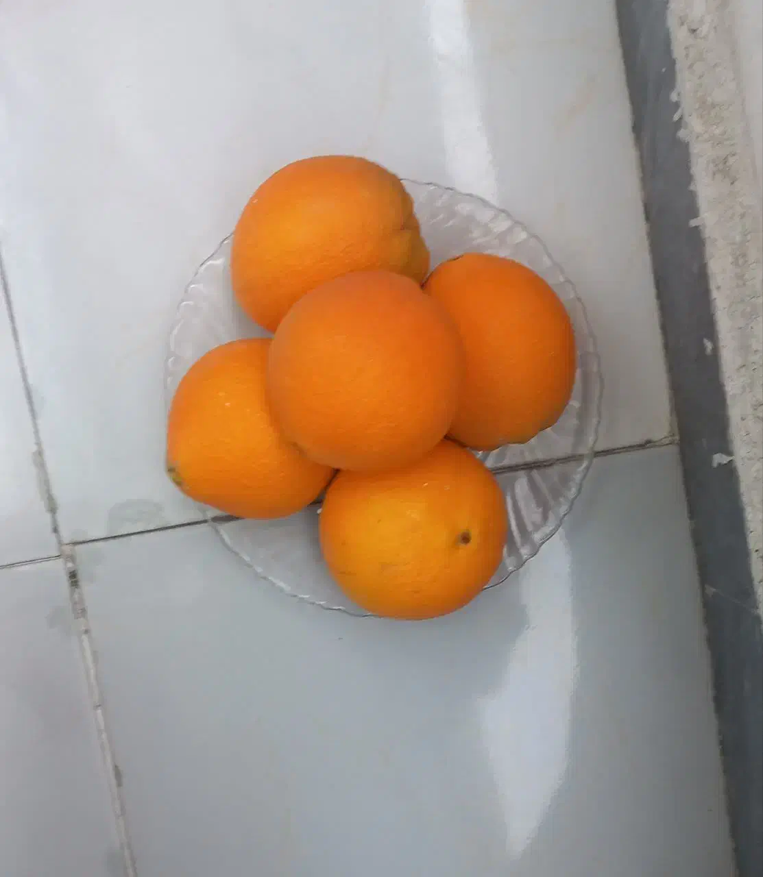 پرتقال تامسون صادراتی|خوردنی و آشامیدنی|بهنمیر, |دیوار