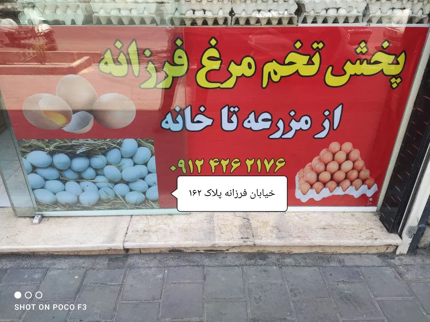 پخش تخم مرغ فرزانه|خوردنی و آشامیدنی|تهران, فرزانه|دیوار