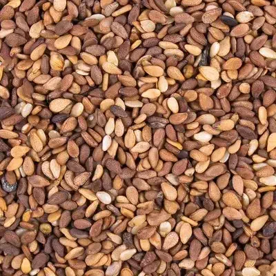 همکاری با کشاورزان و عمده فروشان کنجد|خدمات باغبانی و درختکاری|حاجی آباد, |دیوار