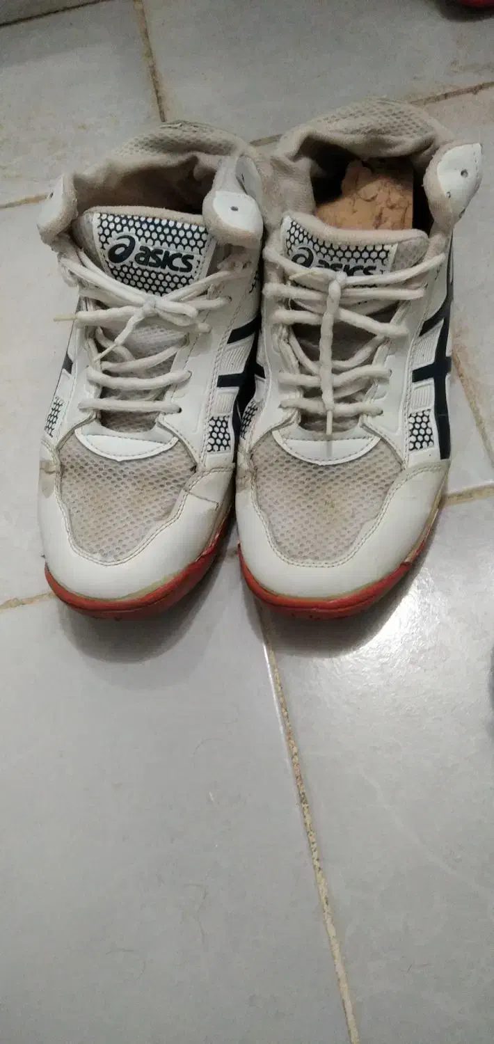 کفش اسپرت|کیف، کفش، کمربند|نیشابور, شهرآرا|دیوار