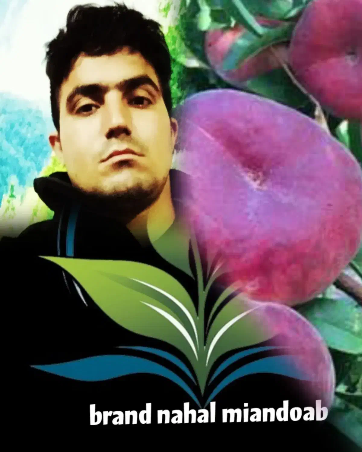 برای ادمین فروش نهال درصدی با من در ارتباط باشید|استخدام بازاریابی و فروش|گرگان, |دیوار