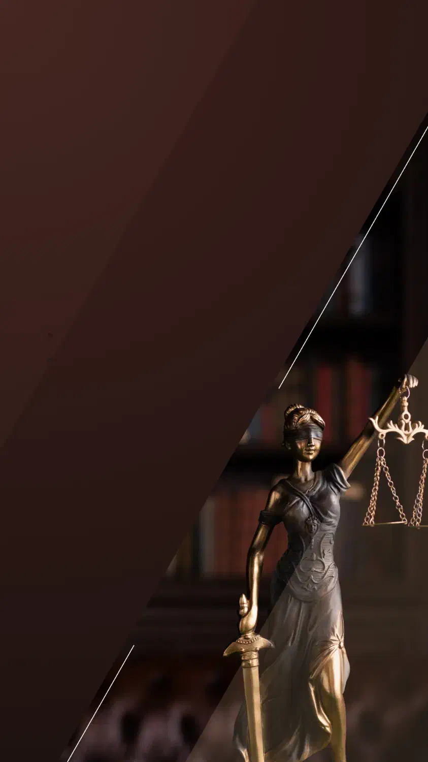 مشاوره و وکالت تخصصی با شرایط ویژه پرداخت|خدمات مالی، حسابداری، بیمه|مشهد, راهنمایی|دیوار