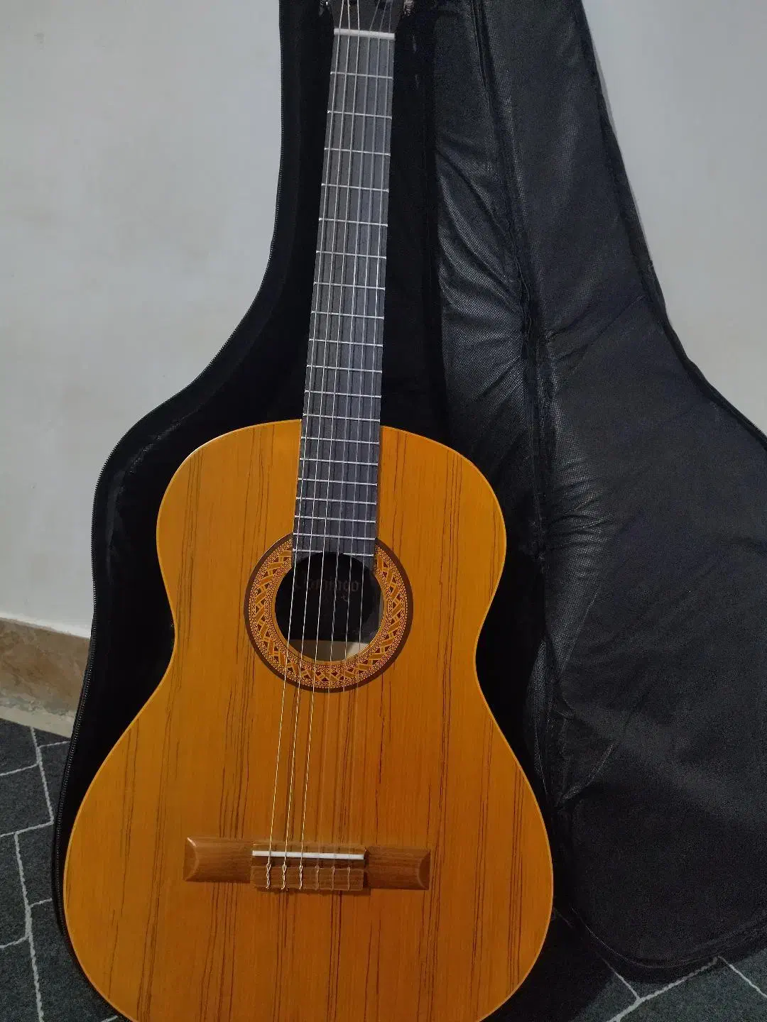 گیتار|گیتار، بیس، امپلیفایر|بوکان, |دیوار