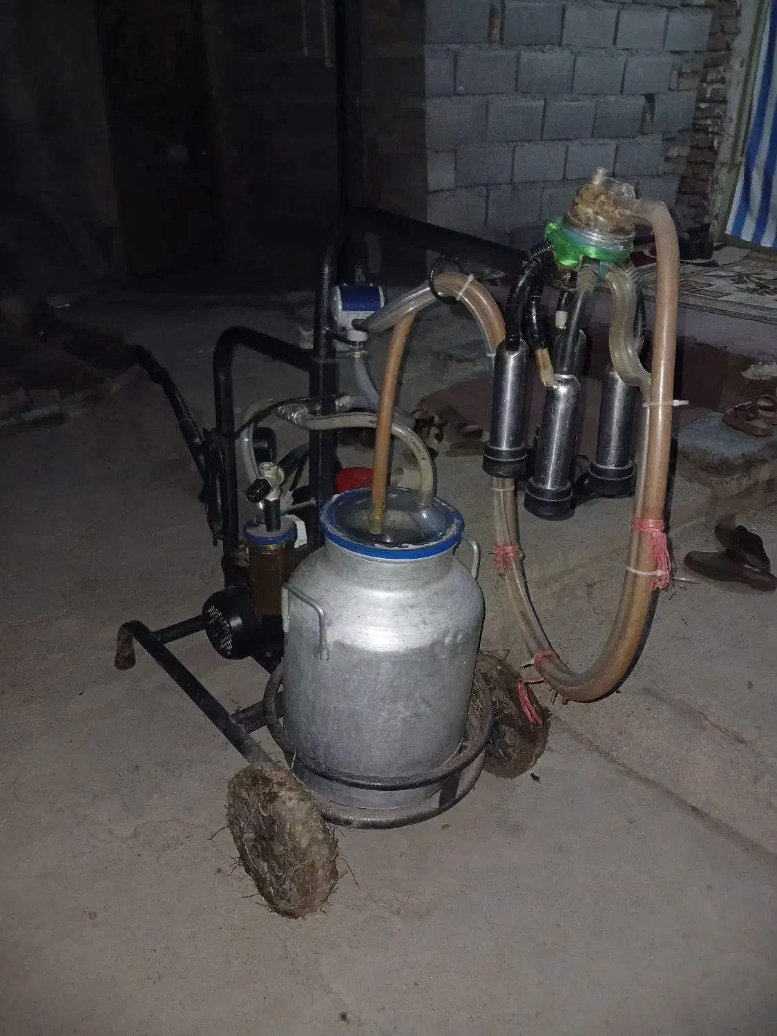 شیردوش برقی تکی|ماشینآلات صنعتی|خان ببین, |دیوار