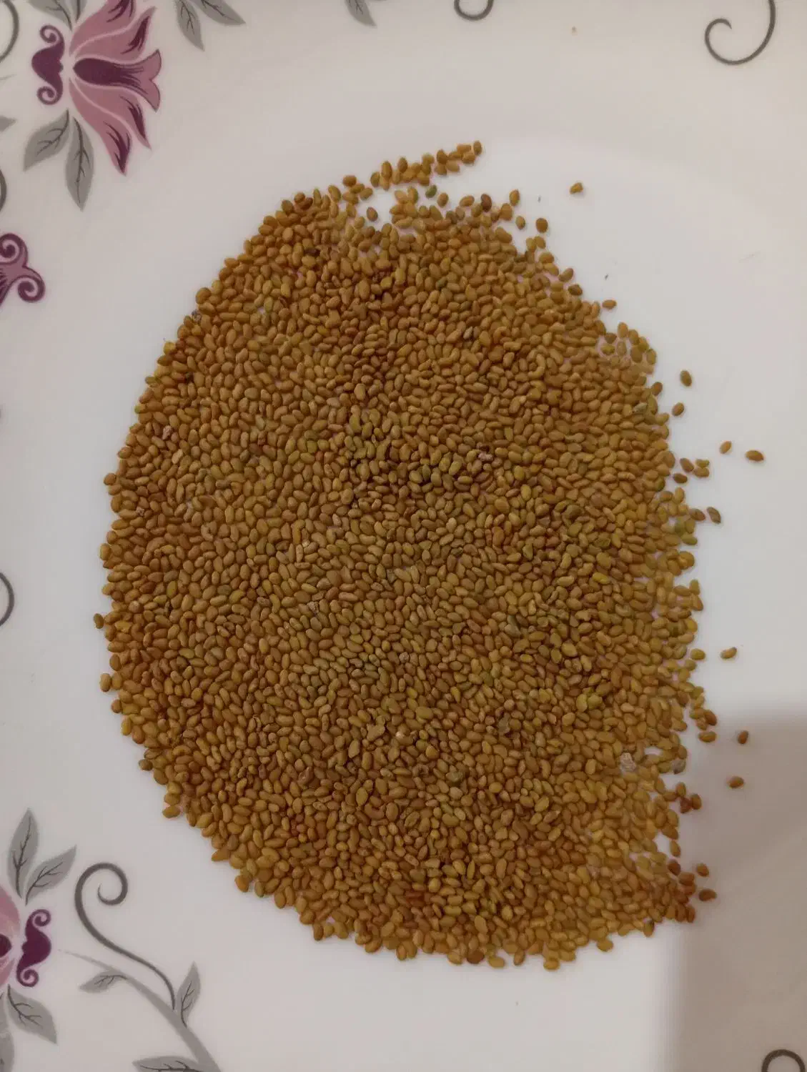 بذر|عمدهفروشی|شراء, |دیوار