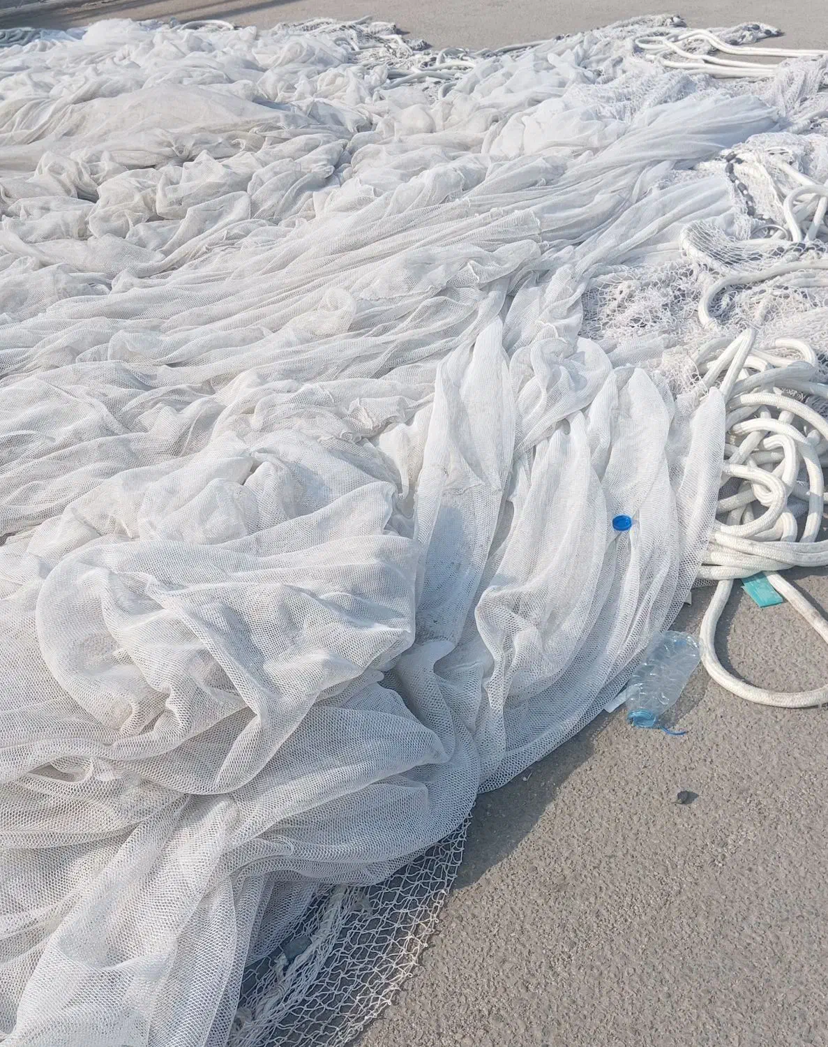 طور ماهی محاصره ای نوو نو|ماهیگیری|قشم, |دیوار