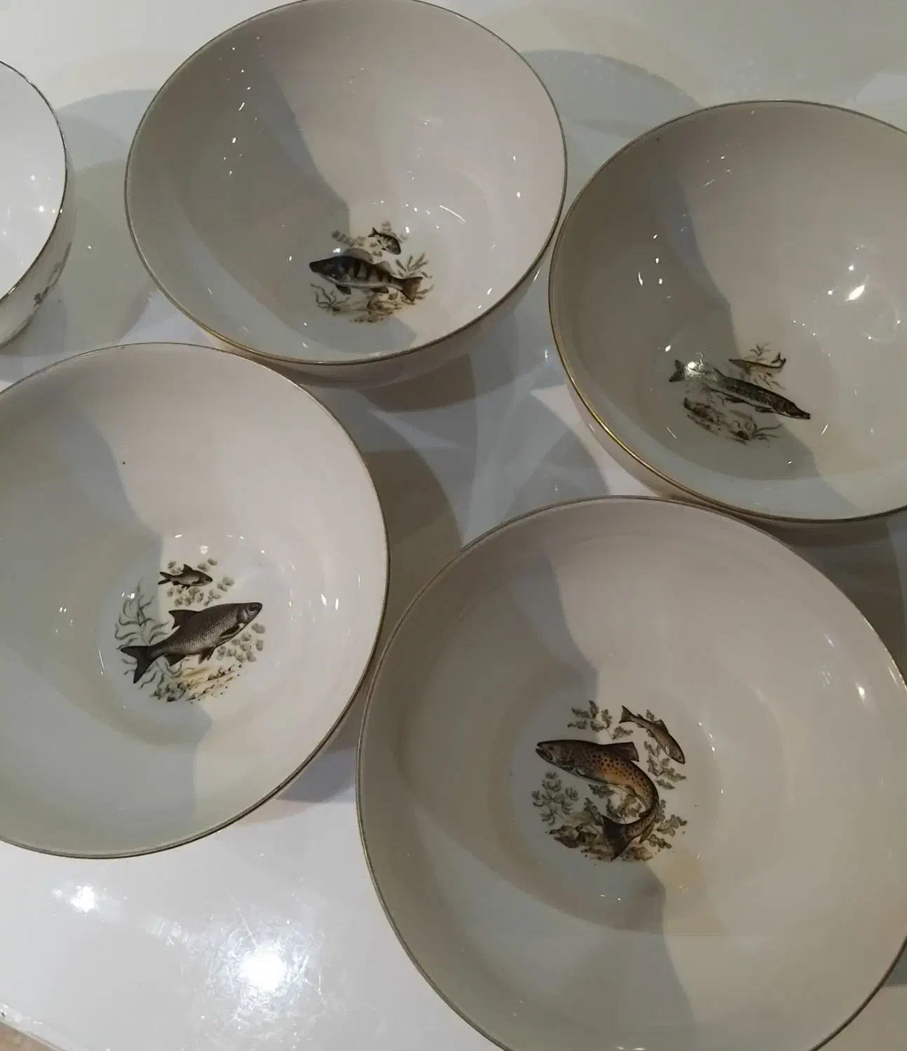 ۴ عدد کاسه پرزلان و دو عددچراغ انتیک|کلکسیون اشیاء عتیقه|رشت, انصاری|دیوار