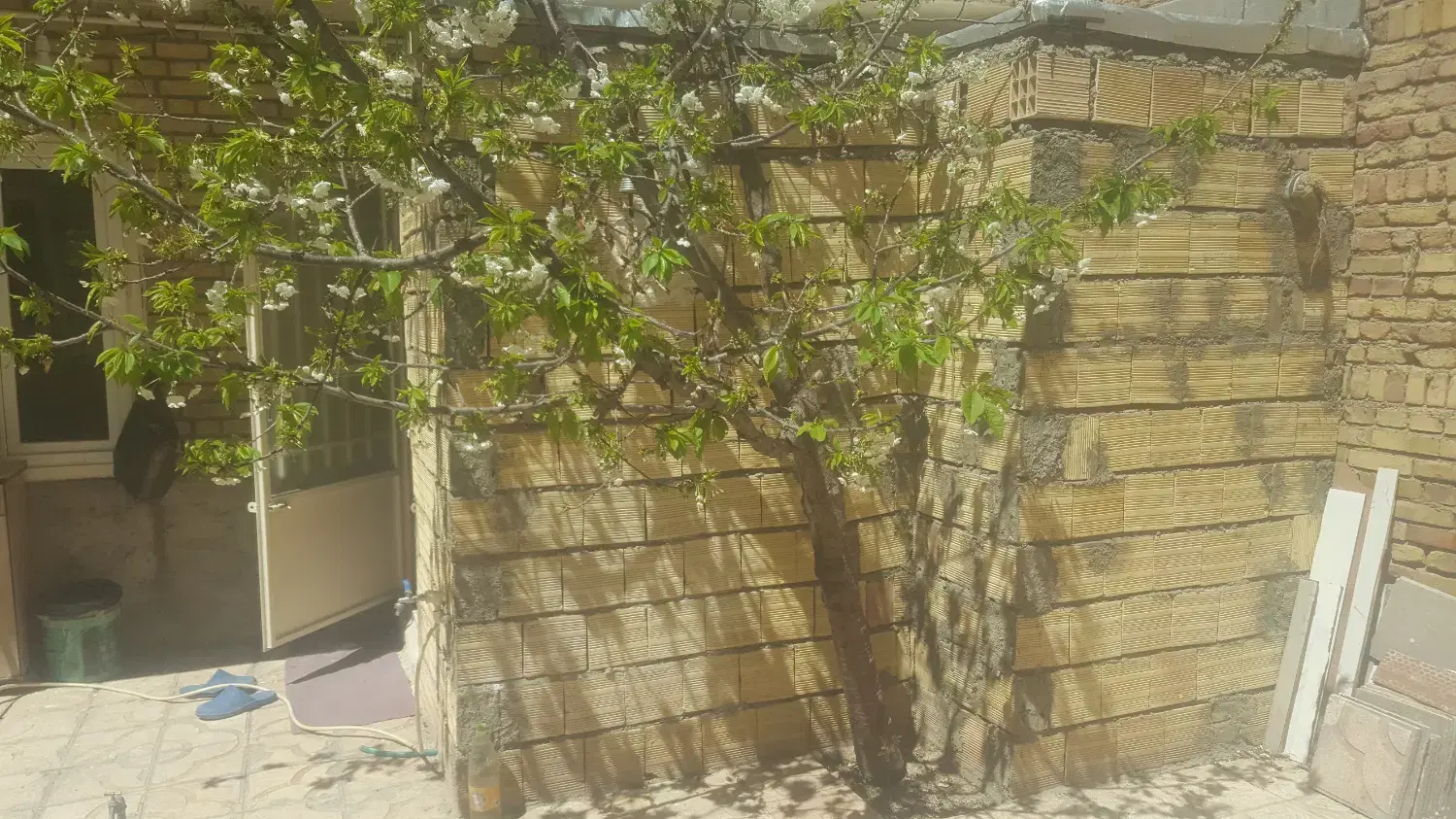 تصویر 4