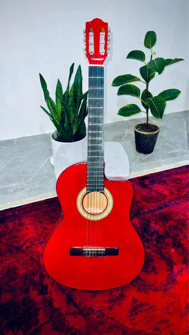 گیتار خوشرنگ اورجینال|گیتار، بیس، امپلیفایر|بجنورد, |دیوار